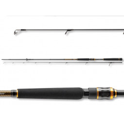 Daiwa Morethan Branzino AGS