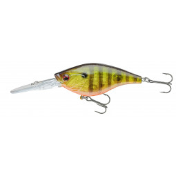 Prorex Crankbait DR gold perch