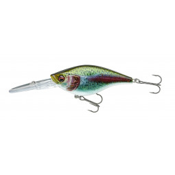 Prorex Crankbait DR live rainbow trout