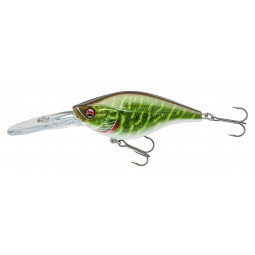 Prorex Crankbait DR live pike