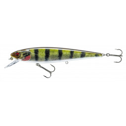 Prorex Minnow SR live perch