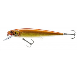 Prorex Minnow SR live orange bleak