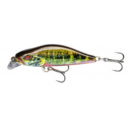 Prorex Flat Minnow 50SS live elritze