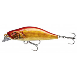 Prorex Flat Minnow 50SS live orange bleak