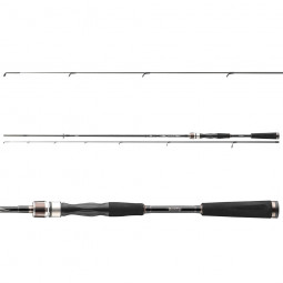 DAIWA Exceler Solidtip Spin