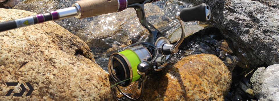 Daiwa Luvias LT